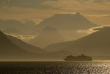 20080617275.jpg
