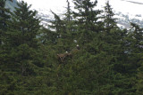 2008061812.jpg