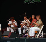 Mike Marshall and friends at the main stage