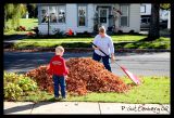 Fall Yard Work in Earlville