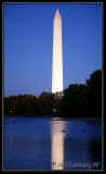 Washington Monument at Night