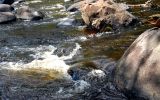 trout water 2, Peshtigo River