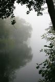 Autumn fog over the canal