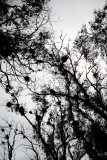Bird Sanctuary In Morro Bay
