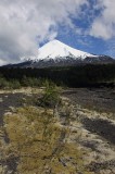 Volcán Osorno, from Petrohué
