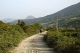 Country road near Berati