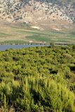 Butrint - Lake Bufi