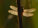 D24_3846.jpg