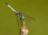D24_3951.jpg