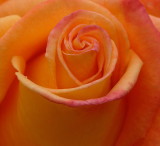D26_8650.jpg
