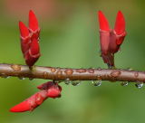 D20_3284 copy.jpg