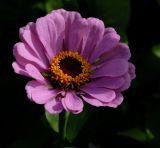 D20_3290 copy.jpg