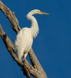 D20_3755 copy.jpg