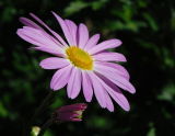 D20_5035 copy.jpg