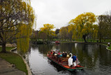 Swan boats Public Garden