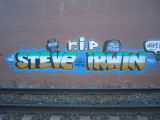 Steve Irwin R.I.P