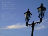 Efflorescences...