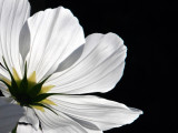 WELCOMING....what is beautiful