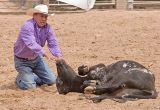 CalfWrestling1.jpg