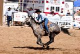 BarrelRacing2.jpg