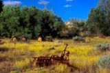 CienagaFarm1.jpg