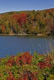 Fall Color - Acadia Natl Park_7304.jpg