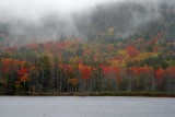 Fall Color  Fog - Acadia Natl Park_7462.jpg