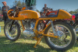 SDIM6567_8_9 - Ducati single