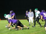 Chris Perry fighting for yardage