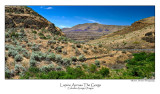 Lupine Across The Gorge.jpg