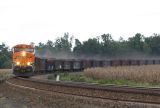 BNSF 6083 CSX T981 St James IN