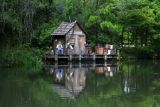 Alligator Swamp