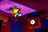 Figments Upside-Down House
