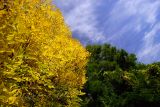_MG_5249.jpg
