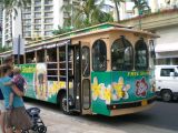 Taking the free shuttle back to Hilo Hatties