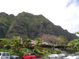 Recognize it from Jurrasic Park, Godzilla, Mighty Joe Young, Windtalkers , or Pearl Harbor? Me neither.