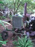 More vintage macadamia equipment laying around