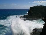 Big waves at Halona Blowhole, too