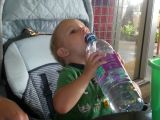 Picture 088.jpg