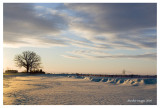 Thatcher Road, Kane County