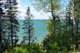 Clear Lake amid trees