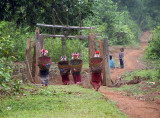 Early morning departure to forest