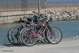 After being escorted around the colony perimeter, everyone bicycled north to Bolsa Chica (except for the photographer)