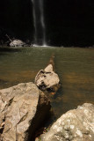 Waterfall Twin Falls Circuit Springbrook Nat Pk06.jpg