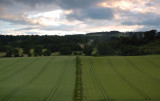 Near Oswestry Hill Fort  DSC_1811