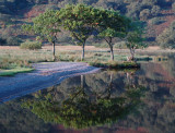 Crummock Water at Dawn DSC_6348