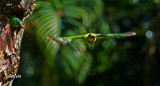 E1-DSC06916CBBV_f.jpg