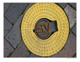 yellow.jpg