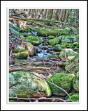 Slippery rocks