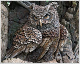Tree of Life - Owl